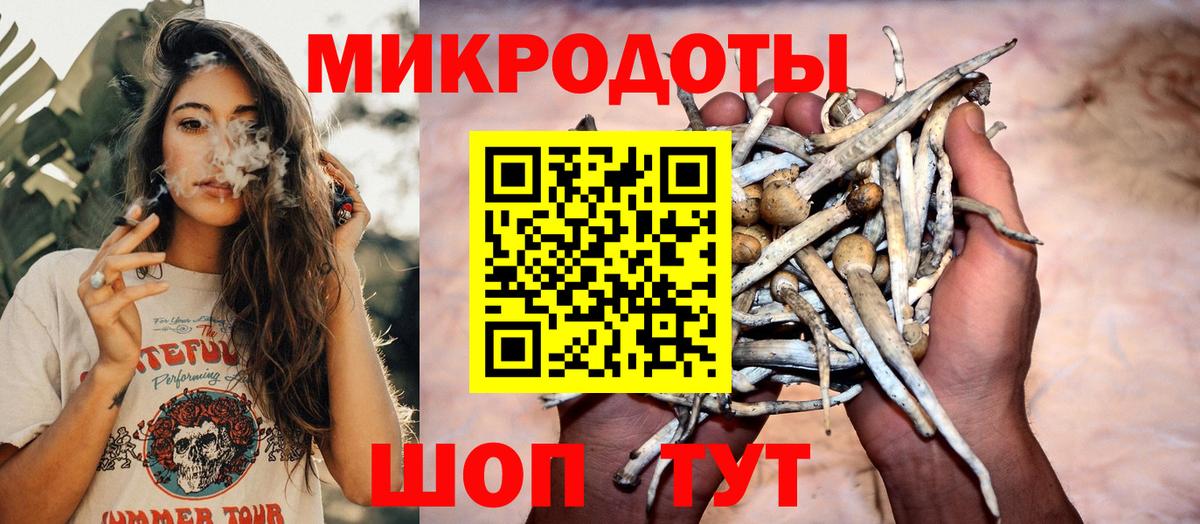 Алапаевск  Псилоцибиновые грибы Magic Shrooms  наркота  Вход с VPN 